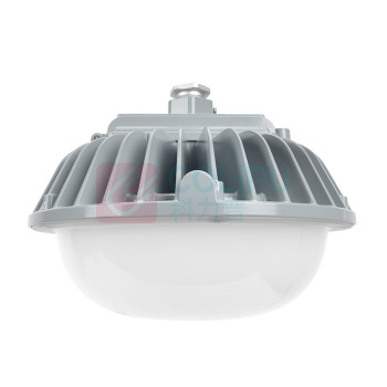 通明 TORMIN LED防爆平台灯 BC9311BP-L30 30W IP66 ExnRⅡCT6Gb AC90~264V 5000K 白光 (灰色)