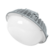 通明电器 LED防爆平台灯 BC9311BP-L60 60W (灰色)