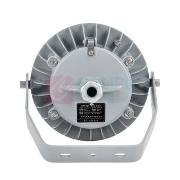 通明电器 LED防爆灯 BC9313S-L40 40W (灰色)