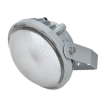 通明电器 LED防爆灯 BC9313S-L50 50W (灰色)
