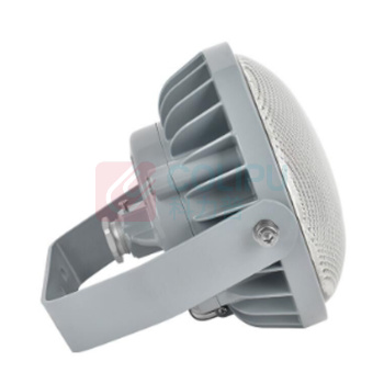 通明电器 LED防爆灯 BC9313S-L50 50W (灰色)