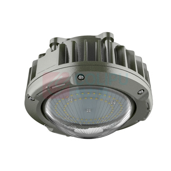 欧辉照明 LED防爆灯 OHBF8231 50W IP68 AC220V 5700K ExdIICT6Gb 白光 led (灰色)