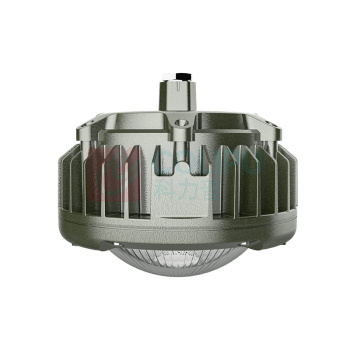 欧辉照明 LED防爆灯 OHBF8231 50W IP68 AC220V 5700K ExdIICT6Gb 白光 led (灰色)