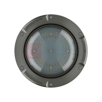 欧辉照明 LED防爆灯 OHBF8231 50W IP68 AC220V 5700K ExdIICT6Gb 白光 led (灰色)