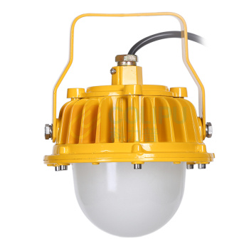 虎光风行 LED防爆平台灯 HG6601 照明功率40W 防护等级IP65 防爆等级Exd IICT6 电压220V 光源颜色/色温6000K 光源类型LED (黄色)