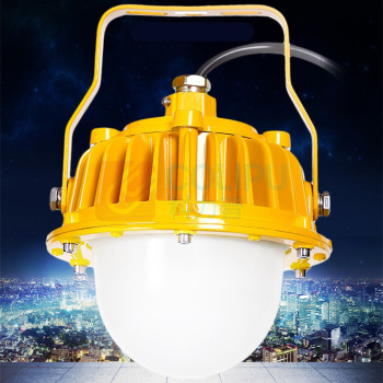 虎光风行 LED防爆平台灯 HG6601 照明功率40W 防护等级IP65 防爆等级Exd IICT6 电压220V 光源颜色/色温6000K 光源类型LED (黄色)