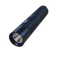LHDQ 领航电器 固态微型防爆电筒 BZ7600G 3W (黑色) DC3.7V 冷光 IP66 ExibIICT4Gb 续航8h 色温6000K 光源类型LED