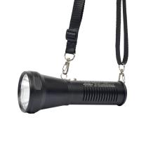 通明 高射程防爆电筒 BW7100B 10W IP67 ExdⅡCT6Gb DC3.7V 6000K 强光4h、工作光10h (黑色)