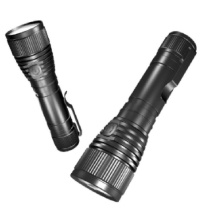 东荣 双光手电筒 DR6802 (1W) 