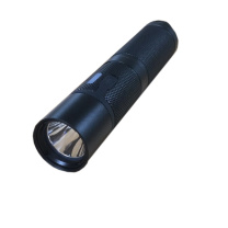 领航电器 固态微型防爆电筒 BZ7600G 3W DC3.7V 冷光 IP66 ExibIICT4Gb 续航8h 色温6000K 光源类型LED (黑色)