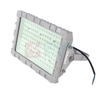 和齐顺 Hikesun 吊杆式防爆灯 HQ-GDL100 100W (灰色)