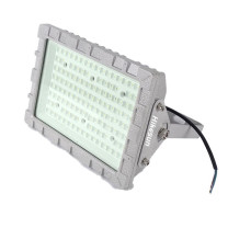 和齐顺 Hikesun 吊杆式防爆灯 HQ-GDL100 100W (灰色)