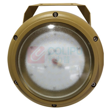 森本 免维护节能防爆投光灯 FGQ1235-LED100 100W (铬黄色)