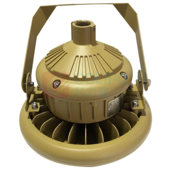 森本 免维护节能防爆投光灯 FGQ1235-LED100 100W (铬黄色)