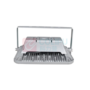 WAROM 华荣 防爆投光灯 RLEFL336-XL200 200W 安装方式:支架安装,操控方式:按键式,光源类型:LED