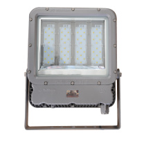 WAROM 华荣 防爆投光灯 RLEEXL5330-XL200 200W
