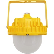 中跃 防爆泛光灯 ZY8112 50W 3500K-6500K