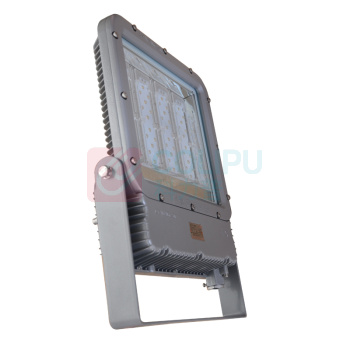 WAROM 华荣 防爆投光灯 RLEEXL5330-XL120 120w LED 电压\220V