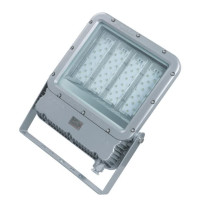 WAROM 防爆投光灯 RLEEXL5330-XL200