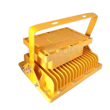 正辉 CHHI 防爆投(泛)光灯 BLC6250 200W (白光)
