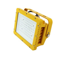 明特佳 MINGTEJIA LED防爆泛光灯 FTD8201-L500 500W / (黄色)