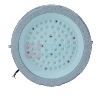 ZOATRON 洲创 LED防爆灯 CCD97 AC 220V-50Hz，100W (白色光源)