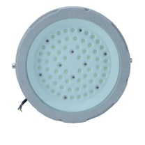 ZOATRON 洲创 LED防爆灯 CCD97 AC 220V-50Hz，100W (白色光源)