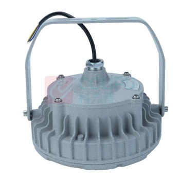 ZOATRON 洲创 LED防爆灯 CCD97 AC 220V-50Hz，100W (白色光源)