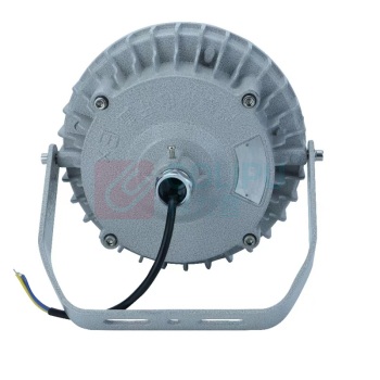 ZOATRON 洲创 LED防爆灯 CCD97 AC 220V-50Hz，100W (白色光源)