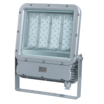 WAROM 华荣 防爆投光灯 RLEEXL5330-XL120 120W