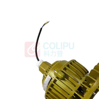 华荣中科 LED悬挂应急防爆工矿灯 50W 直径230mm