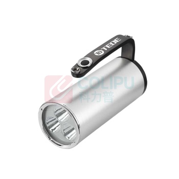 TEDE 手提式防爆探照灯 QSQ-7018 9W (银色)