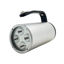 日昇之光 手提式防爆探照灯 RSC8001 12W (银色) 11.1V IP68 LED