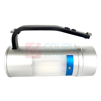 正辉 CHHI 防爆手提灯 BJW8311 2*12W (银色) DC22.2V