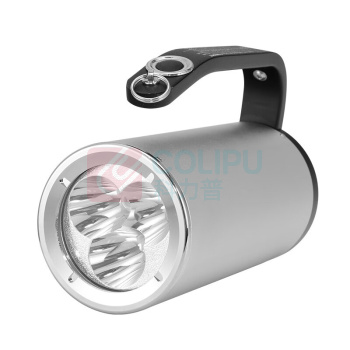 通明电器 防爆探照灯 BW7101B 9W (白光) 额定电压DC22.2V LED 6000K