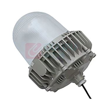 虎光风行 LED灯泡防爆工作灯 FL-BTC6155-48 300*300*390mm 