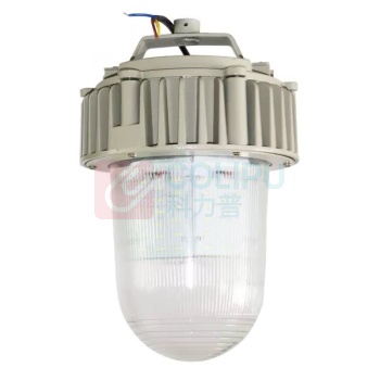 虎光风行 LED灯泡防爆工作灯 FL-BTC6155-48 300*300*390mm 