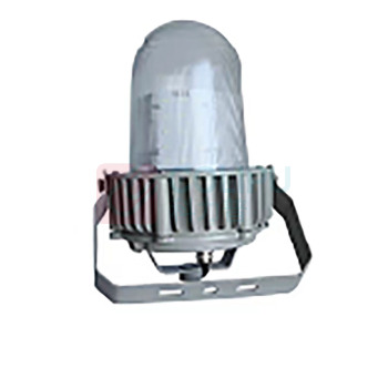 虎光风行 LED灯泡防爆工作灯 FL-BTC6155-01 300*300*390mm 