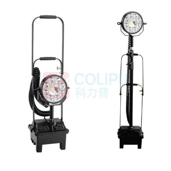 通明电器 防爆强光工作灯 BW3210 30W(单位：个) 