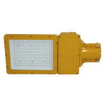 颇尔特 防爆LED节能路灯 POETAA611A 150W
