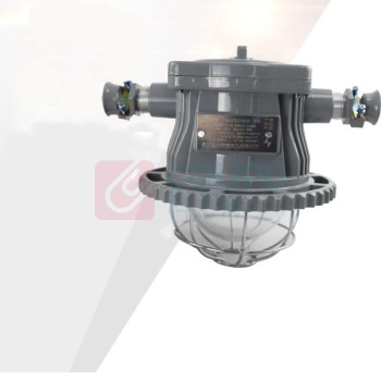 正安 Zan 矿用隔爆型LED巷道灯 DGS24/127L(A) 长型