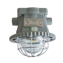 正安 Zan 矿用隔爆型LED巷道灯 DGS30/127L(A) 圆形