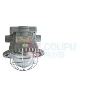 正安 Zan 矿用隔爆型LED巷道灯 DGS30/127L(A) 圆形