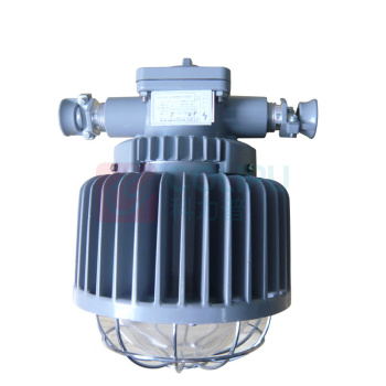 正安 Zan 矿用隔爆型LED巷道灯 DGS50/127L(A) 圆形