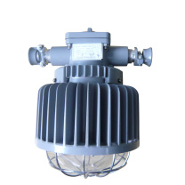 正安 Zan 矿用隔爆型LED巷道灯 DGS50/127L(A) 圆形