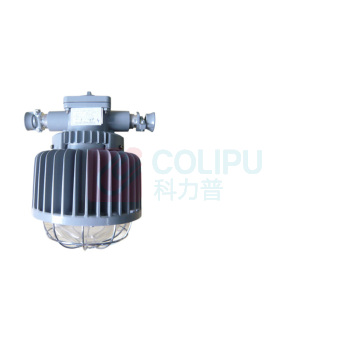 正安 Zan 矿用隔爆型LED巷道灯 DGS50/127L(A) 圆形