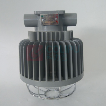 正安 Zan 矿用隔爆型LED巷道灯 DGS50/127L(A) 圆形