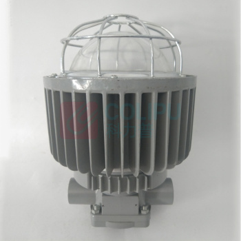 正安 Zan 矿用隔爆型LED巷道灯 DGS50/127L(A) 圆形
