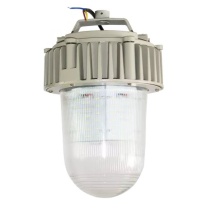 虎光风行 防爆工作灯 FL-BTC6155-01 300*300*390mm (银白) 防护等级IP66 电压等级AC220V
