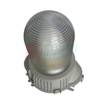虎光风行 防爆工作灯 FL-BTC6155-G1 300*280*245mm (银色)
